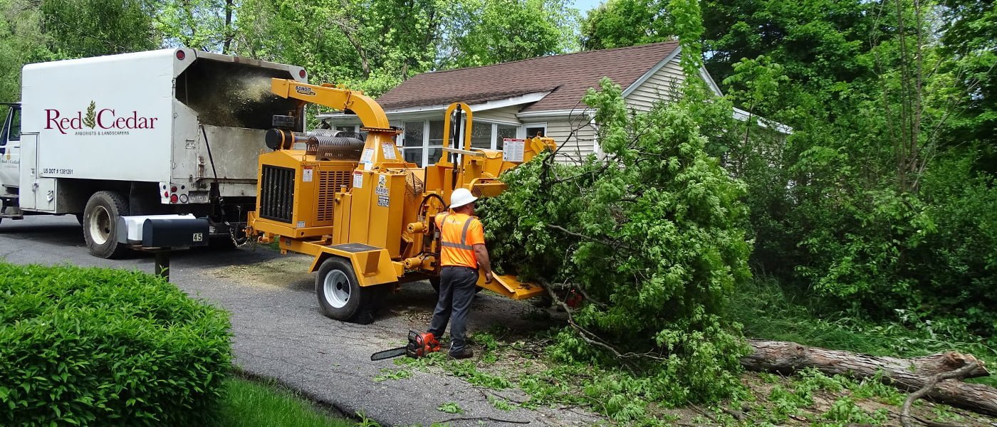 The Costs of Starting a Tree Service Business